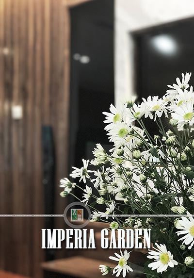  Thi công nội thất chung cư imperia garden hiện đại